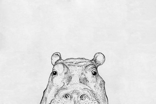 Der Mappenvorbereitungskurs Illustration setzt auf große Vielfalt damit deine Mappe für Illustration-studium die volle Punktzahl bekommt.