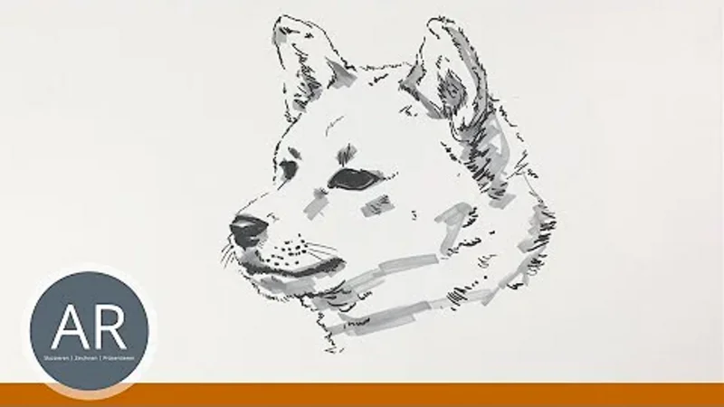 Tierillustrationen einfach zeichnen. Tiere zeichnen