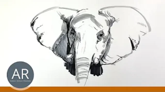 Lerne jetzt Tiere Zeichnen im Zeichenkurs Tiere Zeichnen