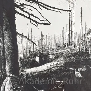 Wie erstelle ich passend zu meiner Geschichte geeignete von Illustrationen. Schaue dir dazu einige Beispiele aus unserem Mappenkurs Illustration Leipzig. 
