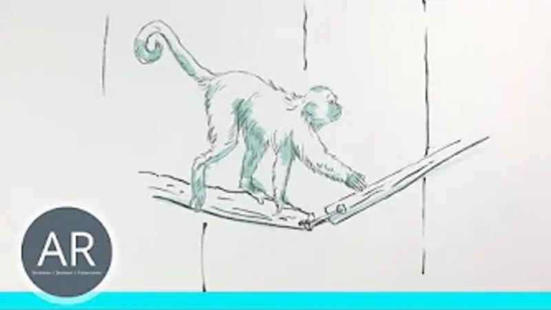 Die wichtigsten Tipps wenn du Tiere zeichnen möchtest