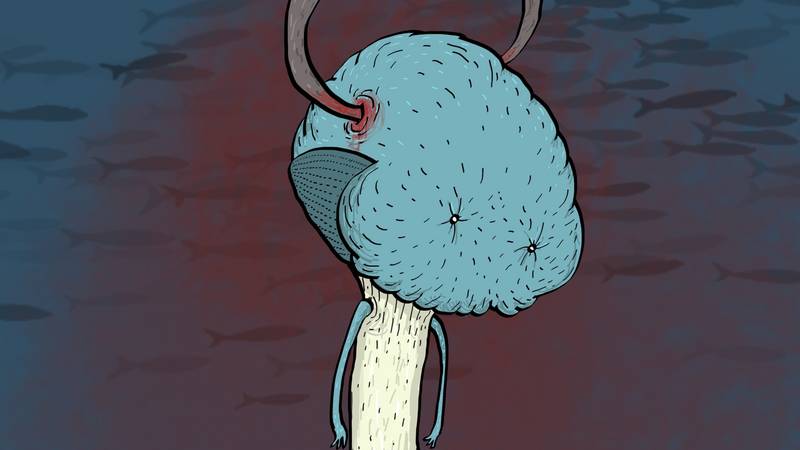 Interactive Media Design