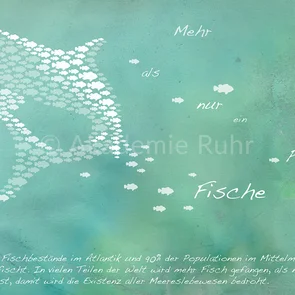 Hier einige Mappenbeispiele für Gestaltung Studium. Das sind Plakate aus unseren Akademie Ruhr Mappenkursen.