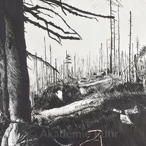 Das hier gezeigte Mappenbeispiel Illustration verdeutlichen wie wirkungsvoll eine Fineliner Skizze ist. Auch mit sehr feinen Strichen lässt sich viel Tiefe erzeugen