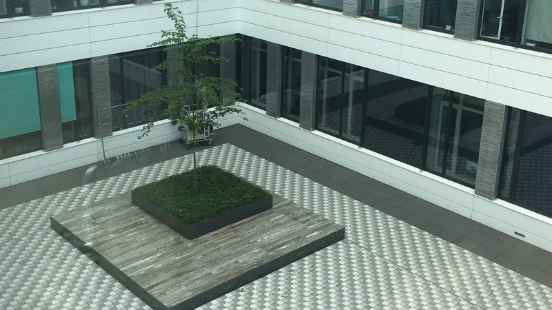 Wir bereiten dich für den Kommunikationsdesign Eignungstest Düsseldorf vor und erstellen mit dir deine perfekte Bewerbungsmappe Kommunikationsdesign.