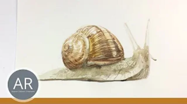 Wie zeichne ich Tiere? Lerne es in unserem Tiere Zeichnen Zeichenkurs.
