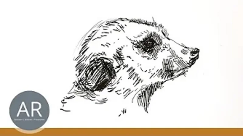 Du möchtest Tiere Zeichnen lernen? In unserem Zeichenkurs Tiere Zeichnen zeigen wir dir alle Grundlagen.