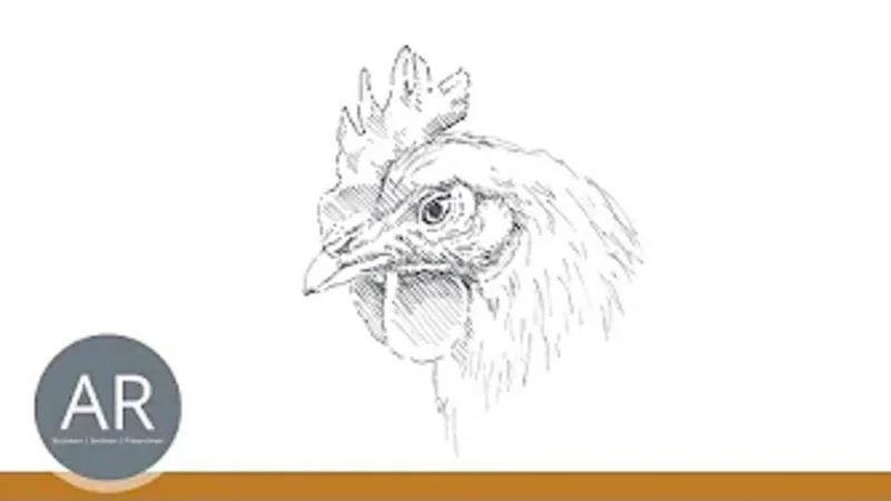 Bei uns lernst du richtig Tiere Zeichen im Zeichenkurs